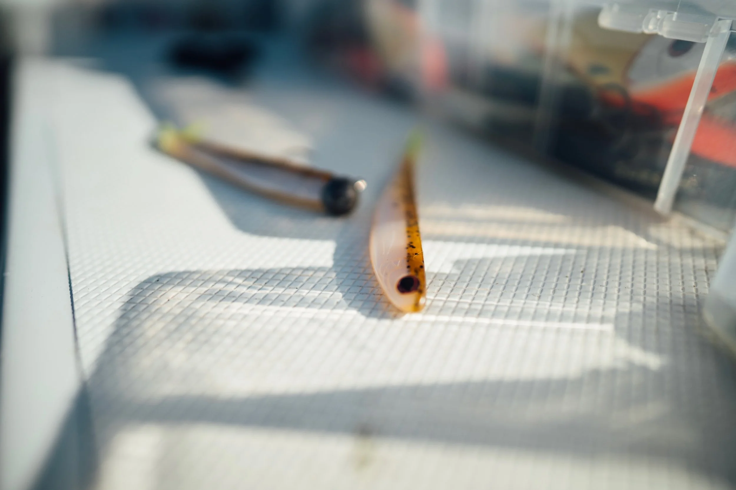 DSC04604 copy_2560x1707.jpg