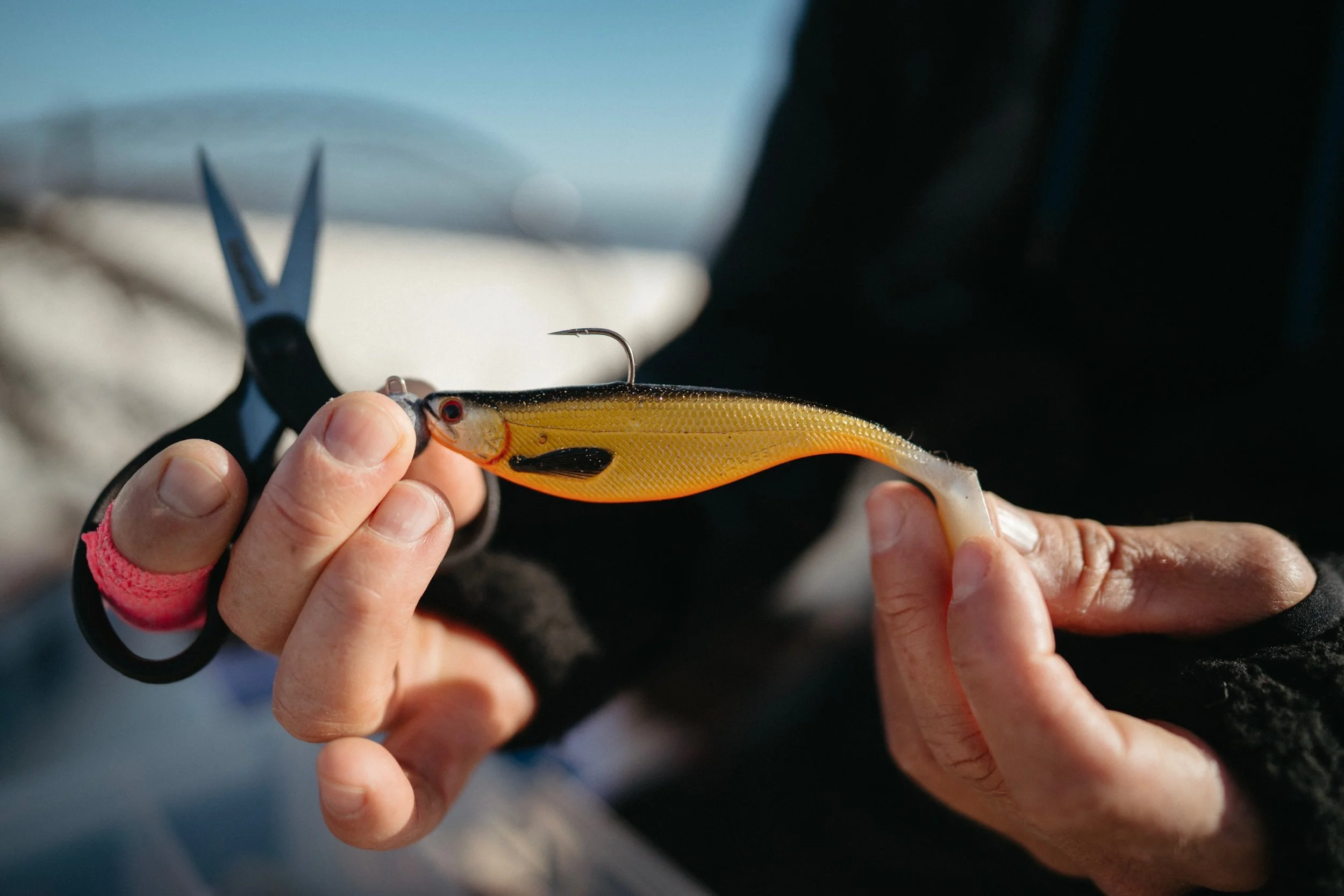 DSC04607 copy_2560x1707.jpg