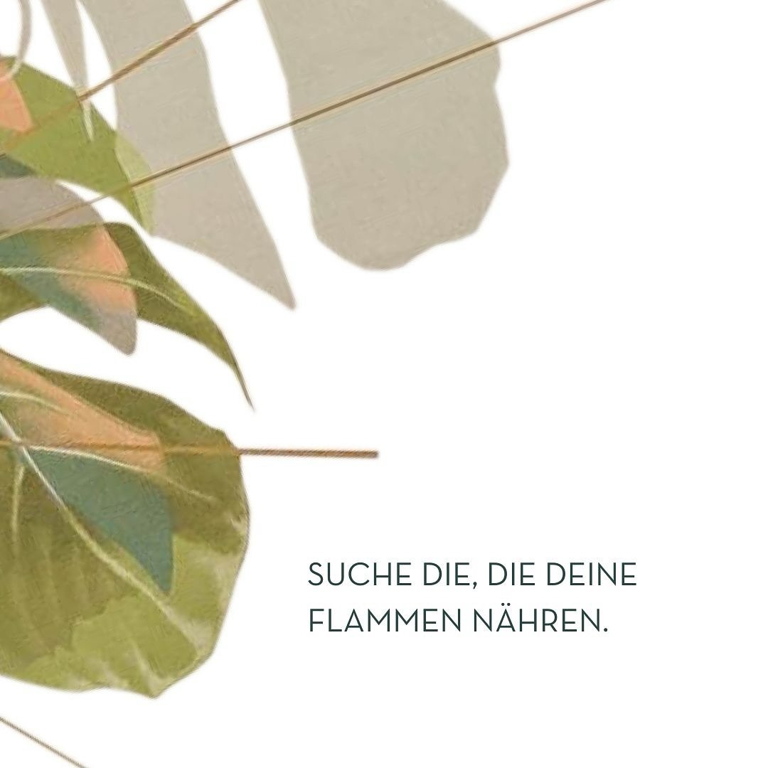 ~ D E I N E  F L A M M E N  N &Auml; H R E N ~🔥

&raquo;Z&uuml;nde Dein Leben an, und suche die, die Deine Flammen n&auml;hren.&laquo; (Rumi)  Die eigenen einzigartigen Talente zu Leben und zu verk&ouml;rpern erfordert Mut! Im Yoga nennen wir dieses