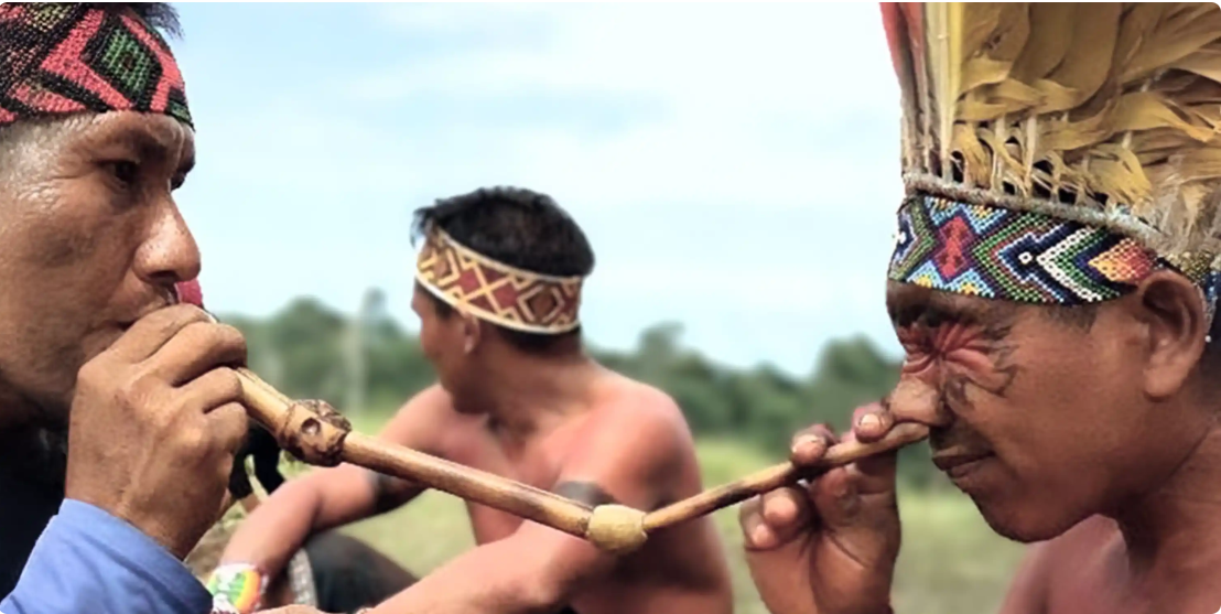 Rapé Zeremonie &amp; Pflanzenmedizintalk I mit Stefan 