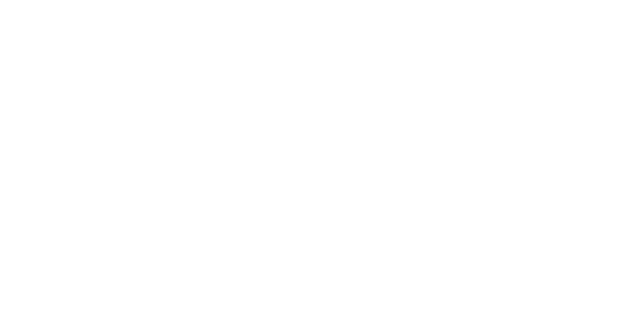 Wordmark of Hostel Rioni featuring golden Ram