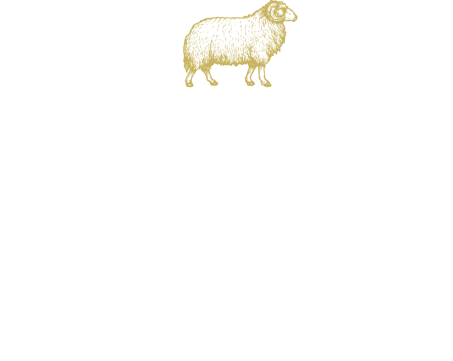 Logo of Hostel Rioni featuring golden Ram