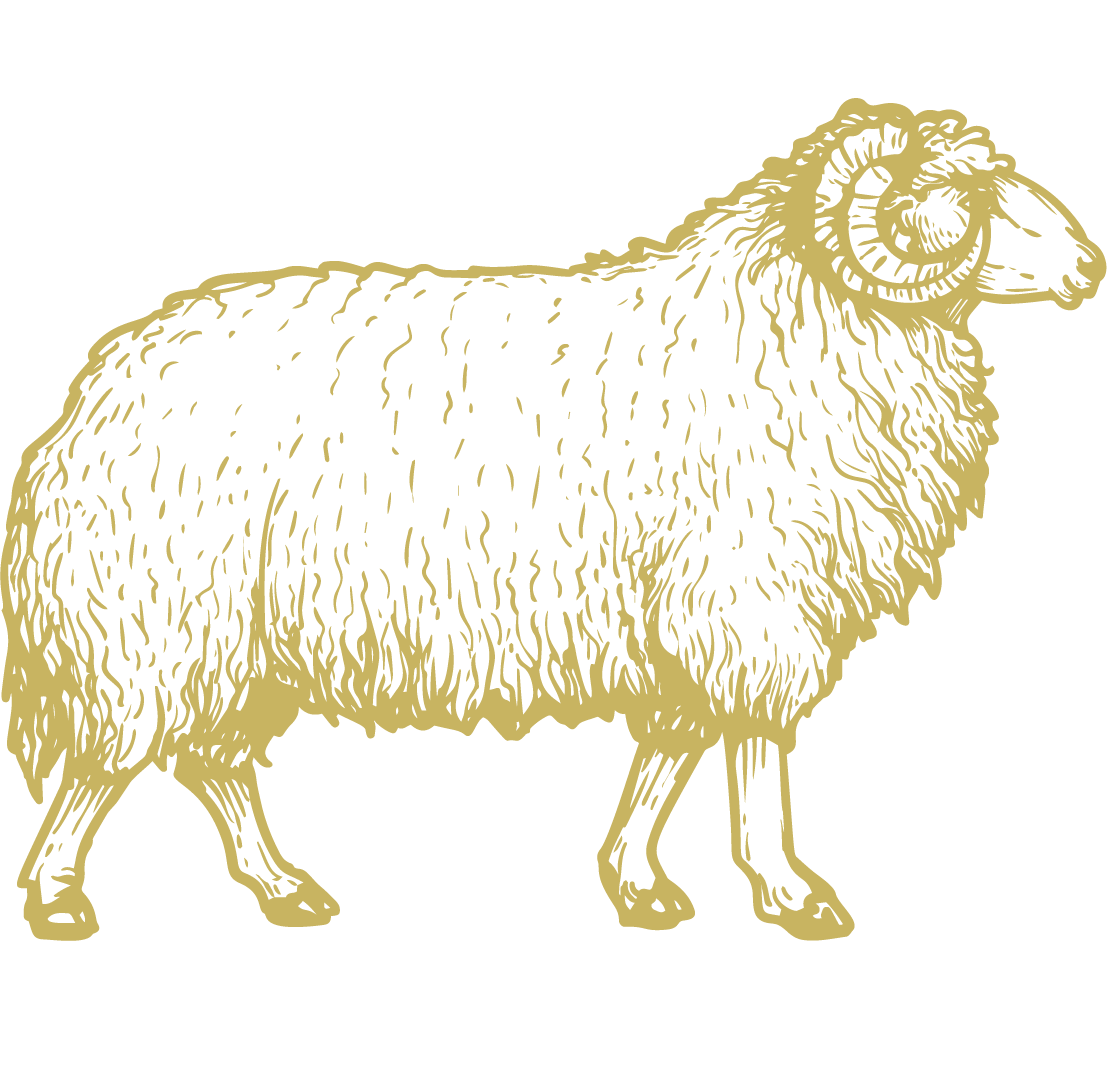 Stylised monogram with Ram overlaying a monogram letter 'R' for Rioni Hostel