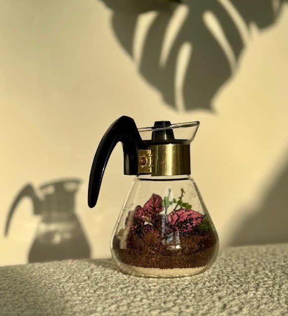 Vintage Corning Coffee Pot Terrarium