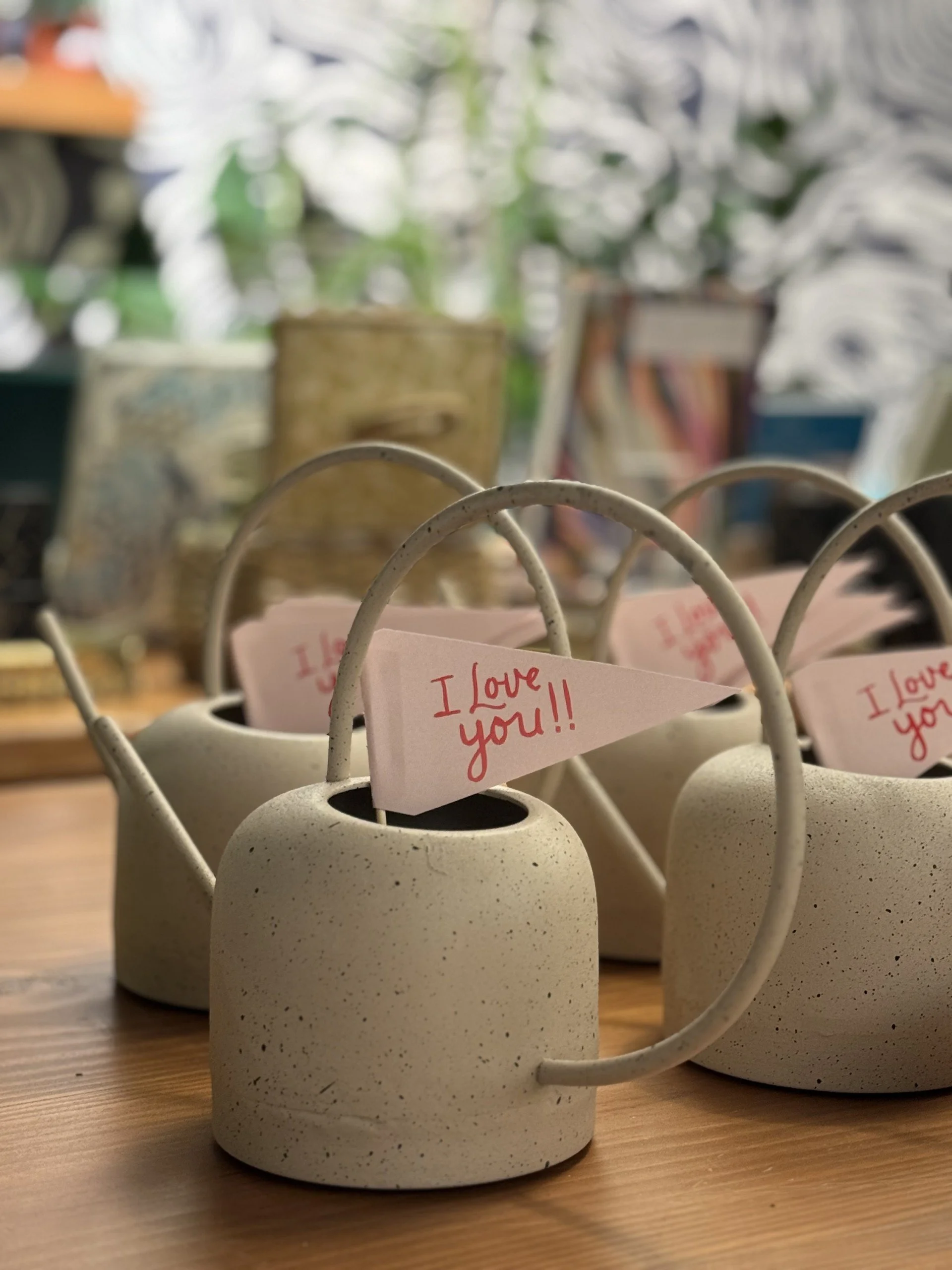 Spec Hoop Watering Can