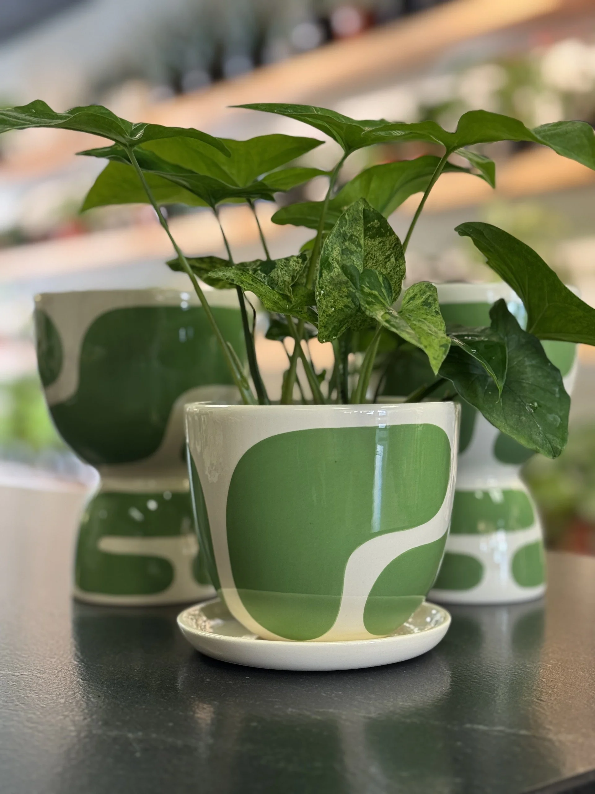 Meadow Color Block Pot