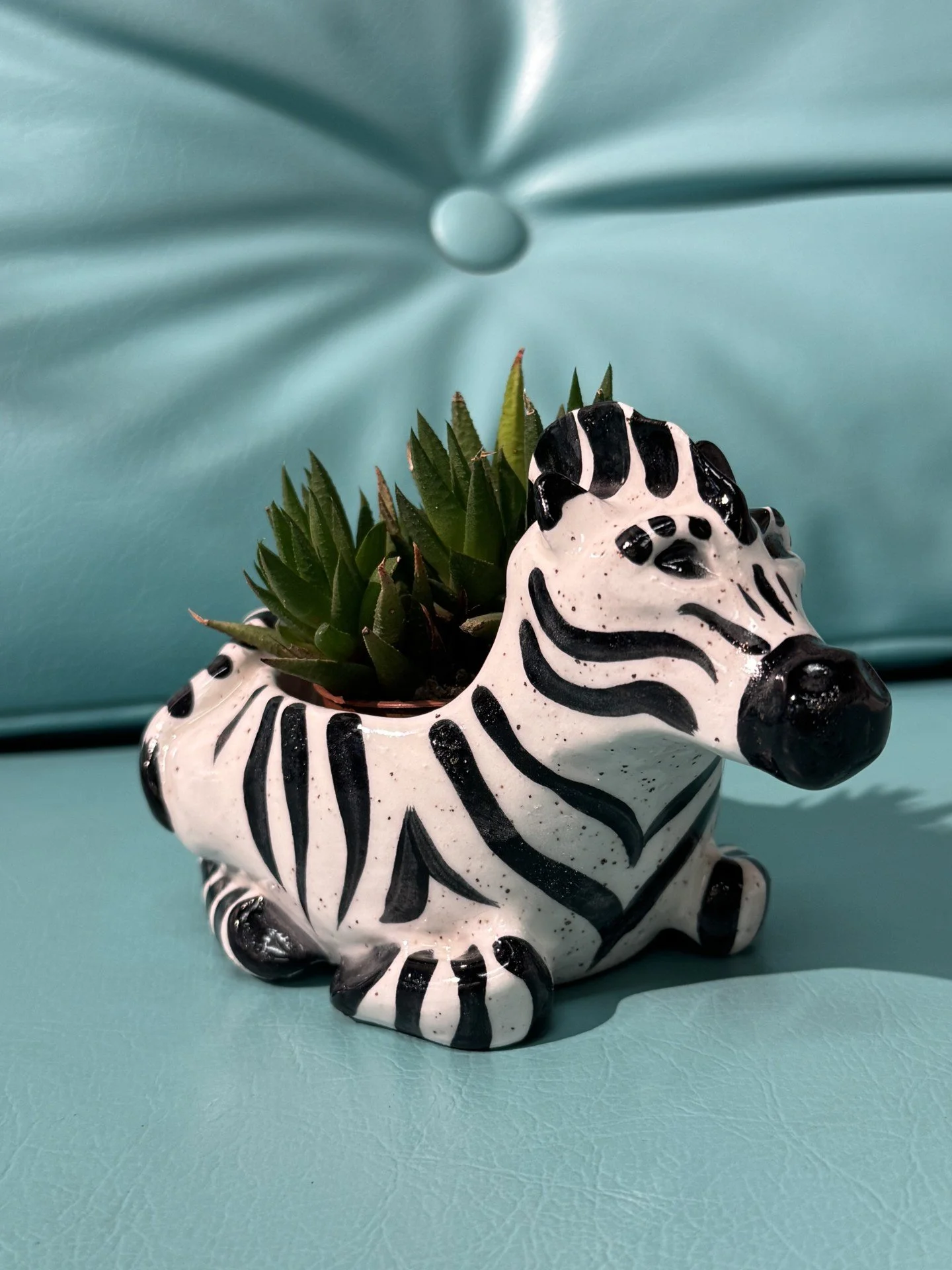 zebra.jpeg