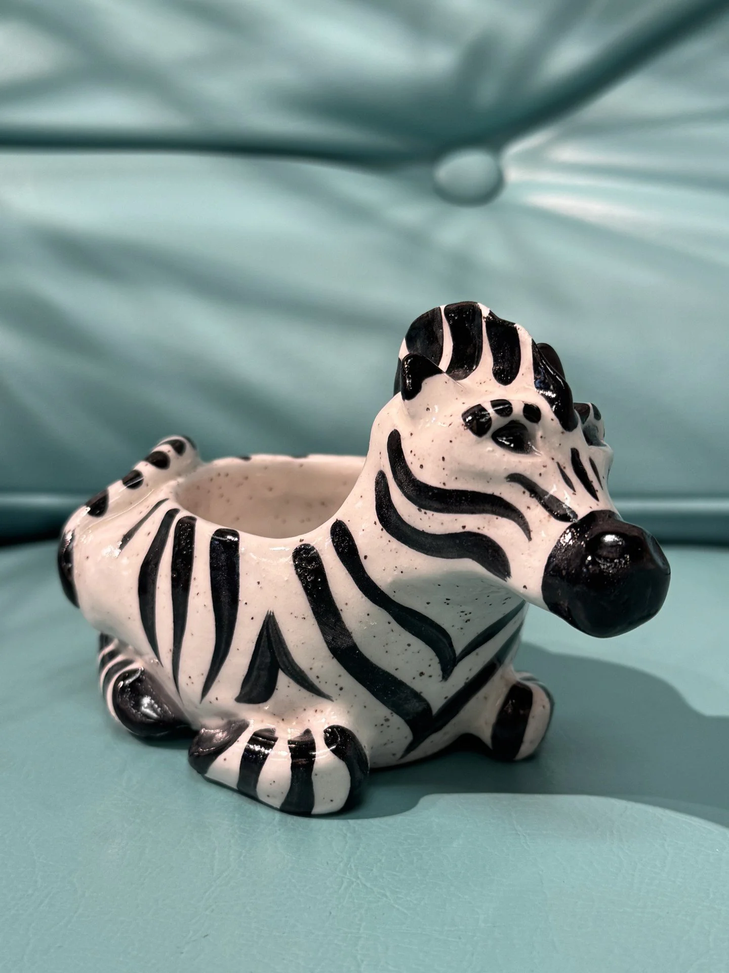 zebrasmall.jpeg