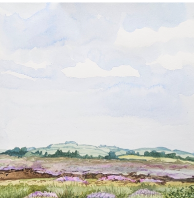 Painting plein air at Killyconny Bog