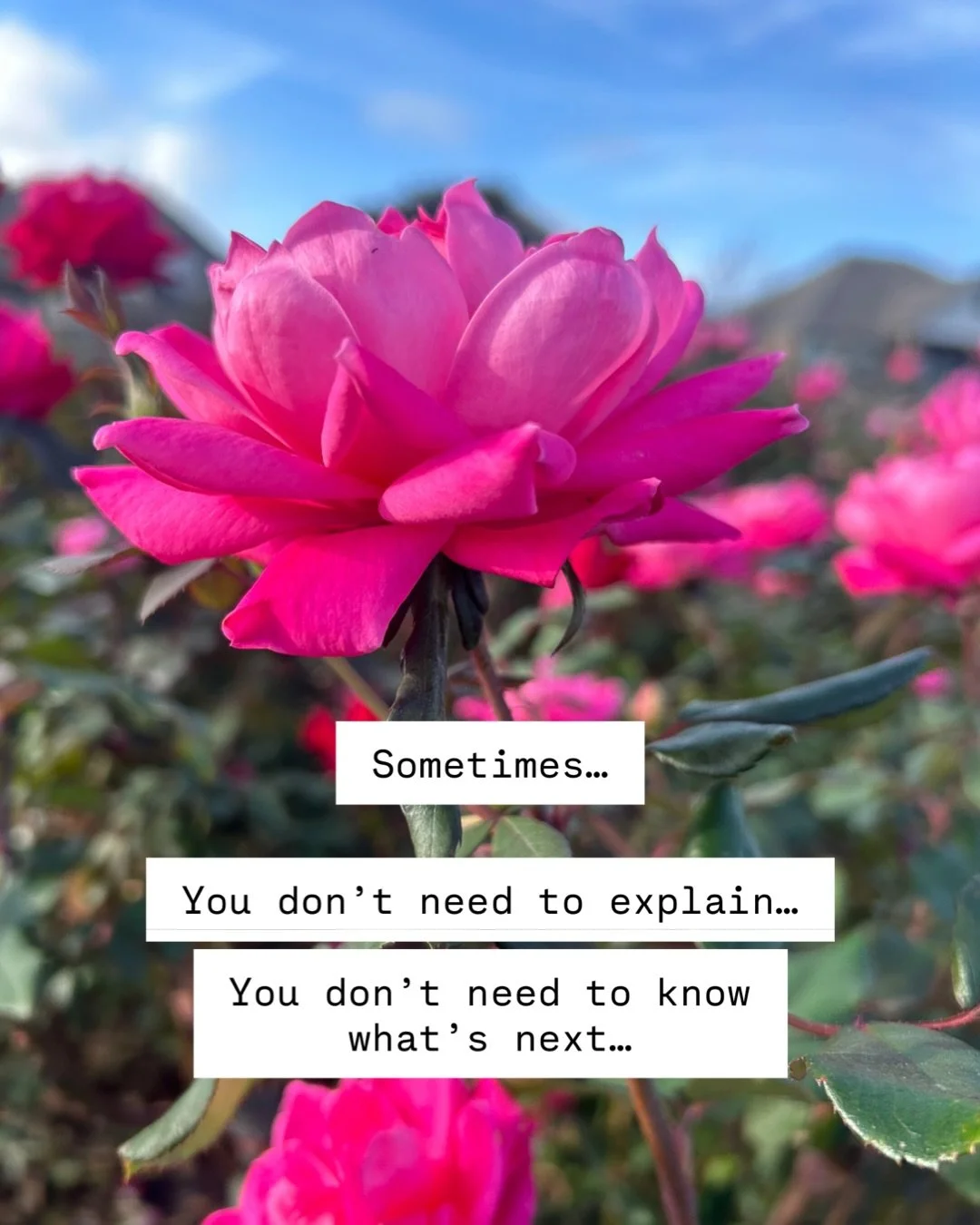 Sometimes&hellip;

You don&rsquo;t need to explain&hellip;
You don&rsquo;t need to know what&rsquo;s next&hellip;

You hold what cannot yet be spoken&hellip;
You hold what is not meant to be revealed all at once&hellip;

Some things arrive only throu