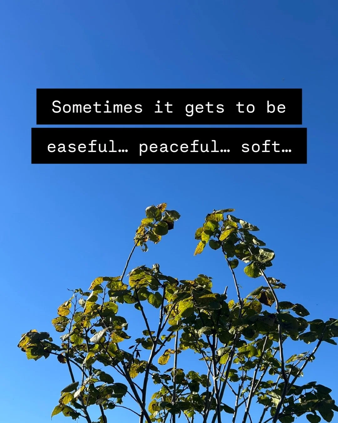 Sometimes it gets to be easeful&hellip; peaceful&hellip; soft&hellip;

Change, transformation, alchemizing&hellip;
They don&rsquo;t just happen in the doing, by taking action&hellip;

They also happen (often):
in the quiet&hellip;
while resting&helli