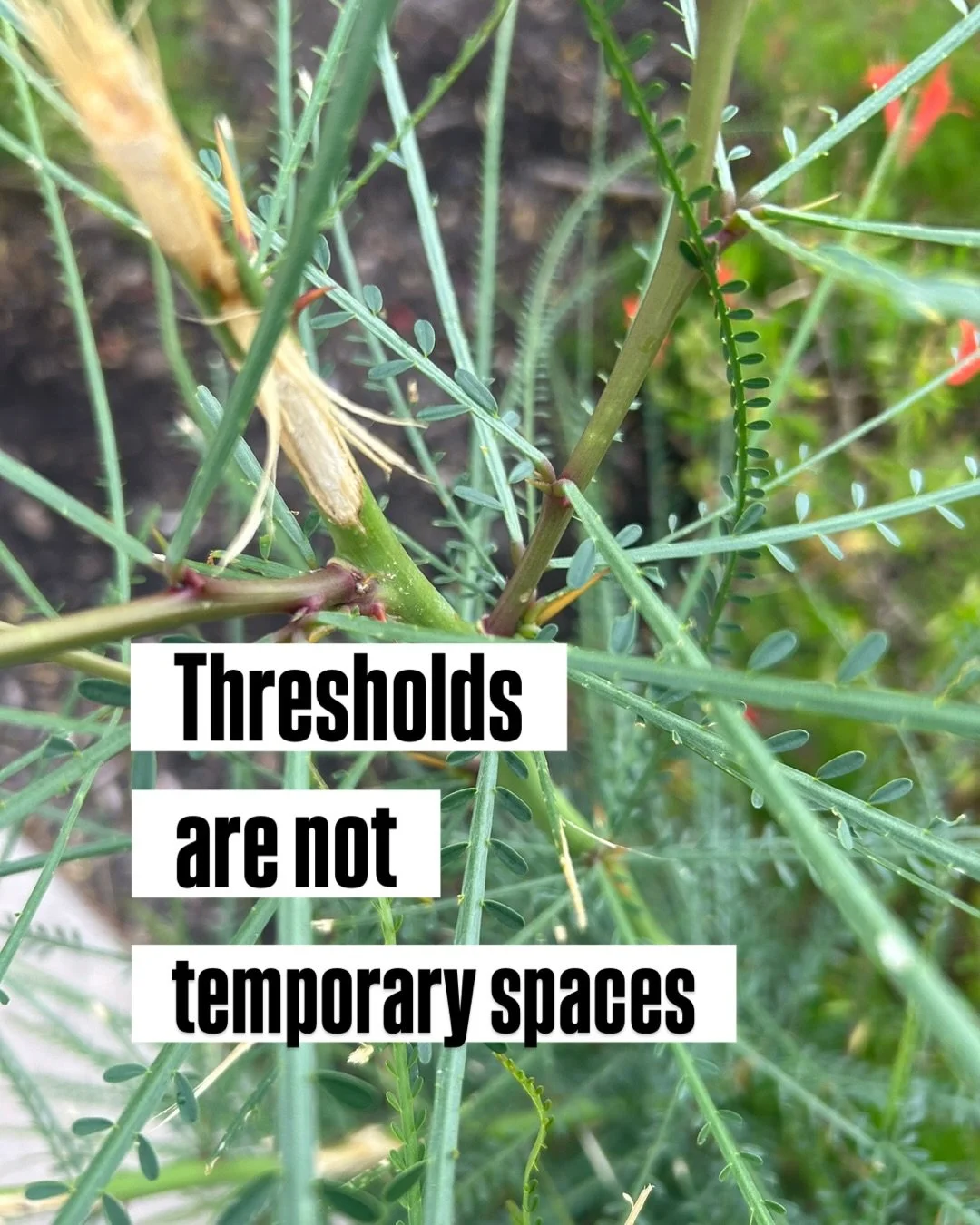 Thresholds are not temporary spaces

They are living altars where time bends and identity reshapes&hellip;

To recognize them is to reclaim your architecture&hellip;

And to name them is to make them navigable&hellip;

For yourself and for others nea