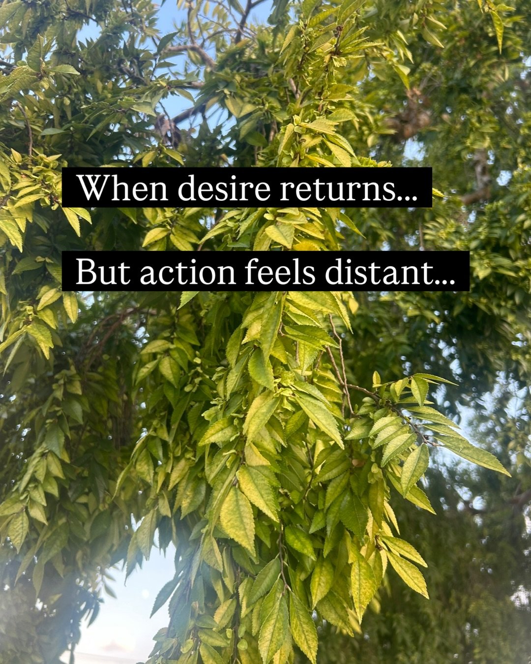 When desire returns&hellip; but action feels distant&hellip;

This is often mislabeled as procrastination&hellip;

But it&rsquo;s a threshold between energetic permission and structural readiness&hellip;

The body says: &ldquo;yes&rdquo;&hellip;
The 