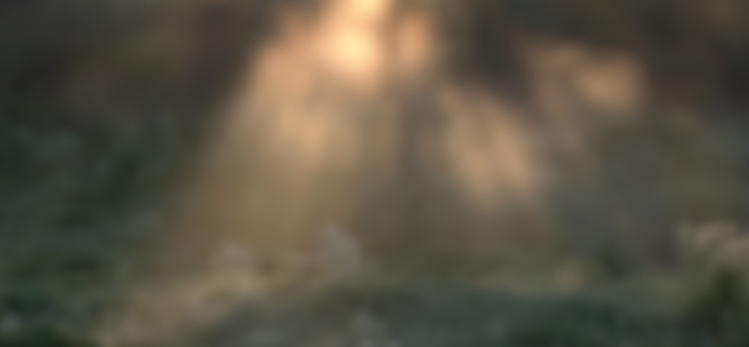 A doorway shaped image of softly blurred image of sunlight filtering through foliage, with warm golden light and muted green tones creating an abstract, tranquil scene; the whole image is undulating in motion