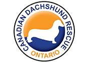 Canadian dachshund rescue (Copy)