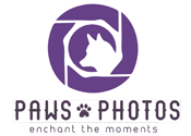 paws-photos.png