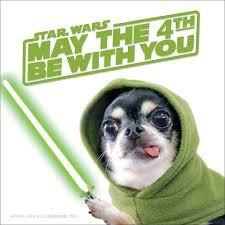 MAY THE 4th BE WITH YOU ( since August 17th, 2024 Pawlooza, Canada's Favourite Dog Festival is in your calendar already !)