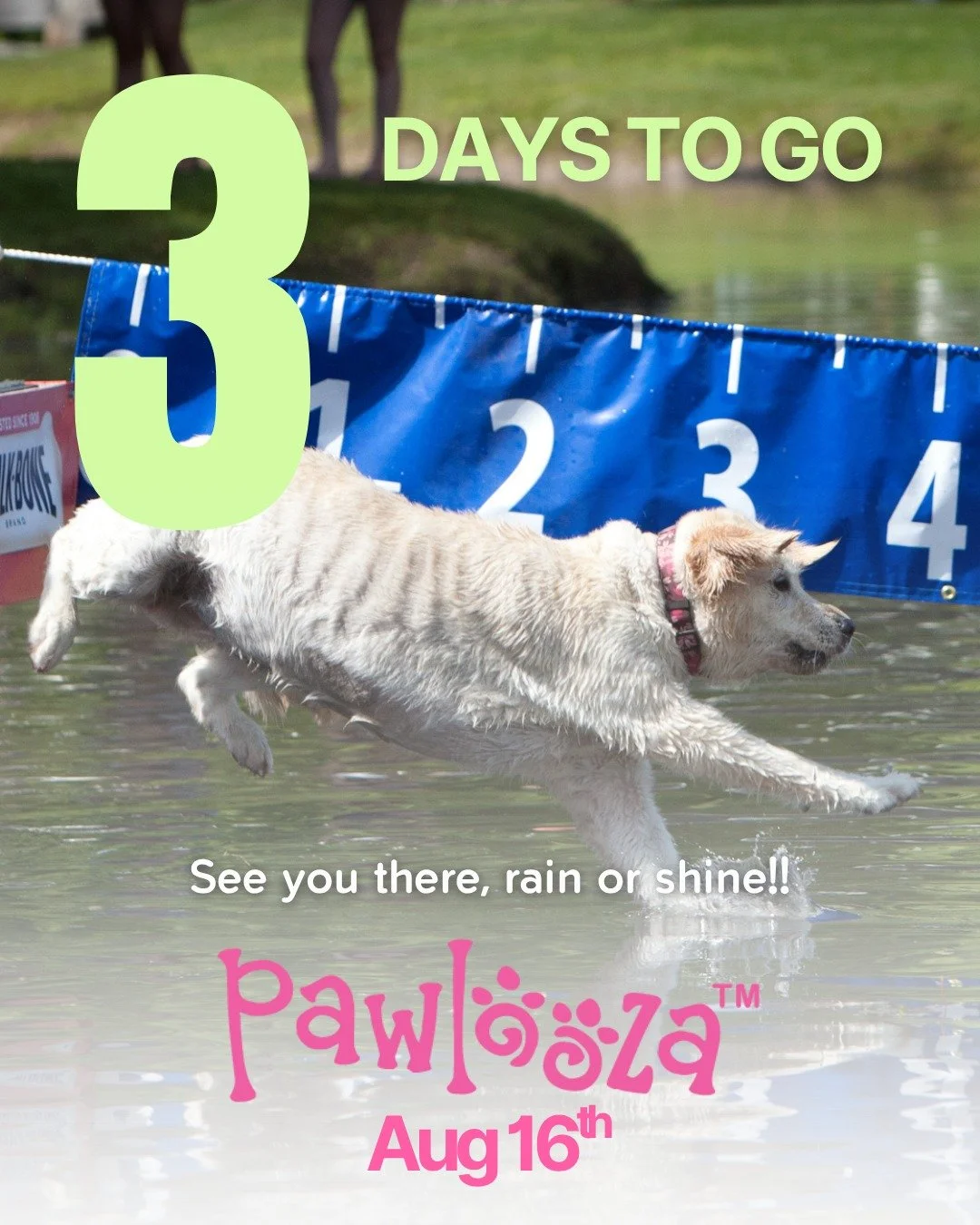 Only 3 days to go until Pawlooza 2025! 🐾🎉

Get ready for a full day of dog-friendly activities (dock diving, agility, luring, and free-leash zone), contests, shopping, delicious food, and tail wags&mdash;see you there!

📅 Saturday, August 16, 2025