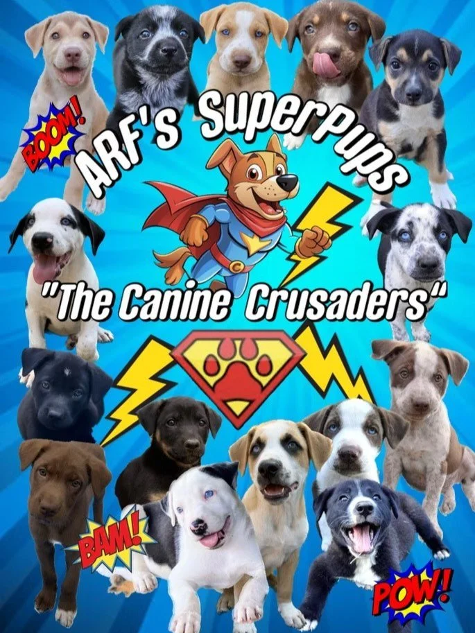 Meet the Canine Crusaders litter and about 10 other foster pups at the ARF Zone this Saturday at Pawlooza! @arfontario 💛

Enjoy frozen Pupsicles, splash in our doggy pools, and chat with ARF volunteers about adoption, fostering, or volunteering. You