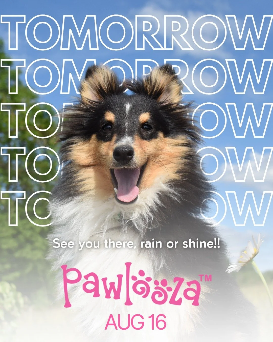Pawlooza 2025 is TOMORROW!!

📆 When: 9:30AM to 5PM
📍 Where: Plunkett Estate, 9282 Elviage Dr, London, ON N6K 4N5
🎟️ Tickets available at the gate! $20/car

The big day is almost here! Our amazing volunteers have poured countless hours of hard work
