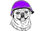 scooppooptroop.png