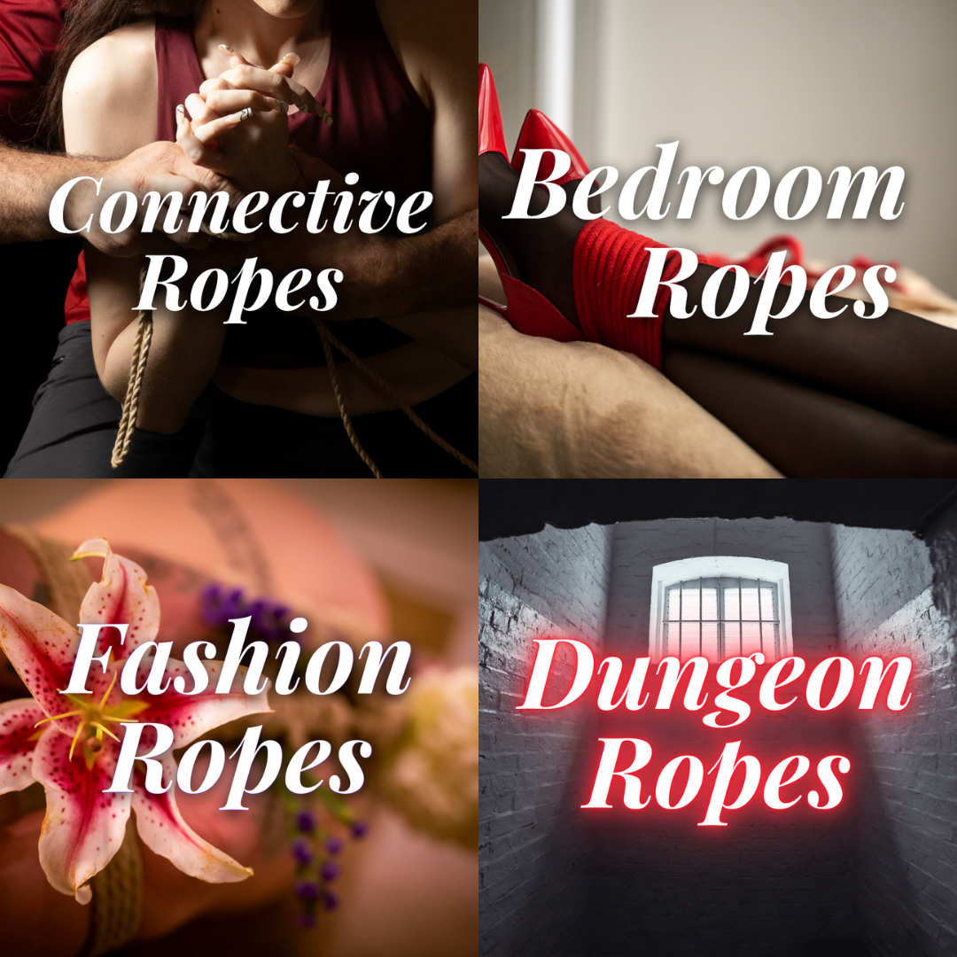 The Shibari Experience