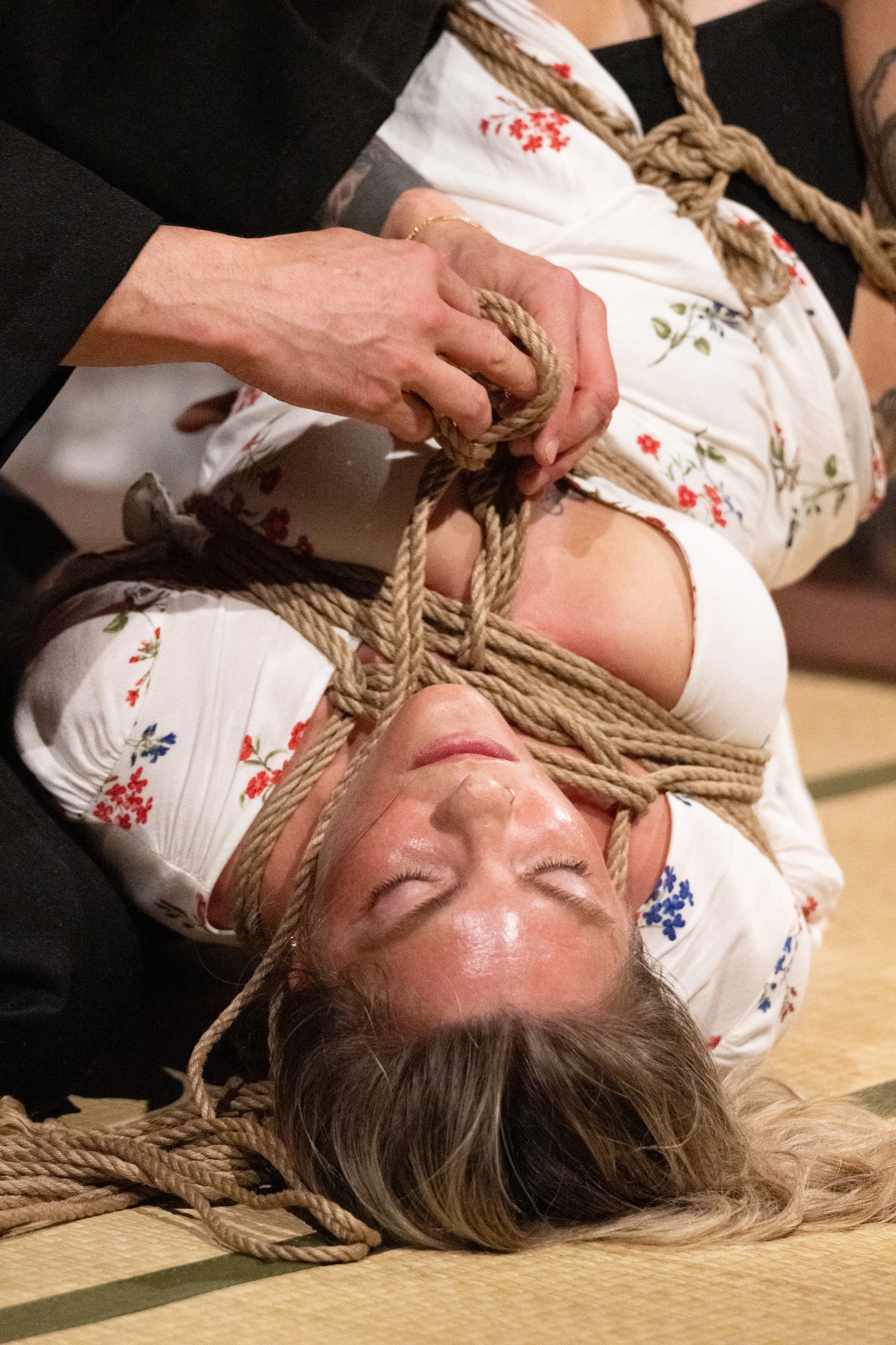 Bound 260411-157.jpg