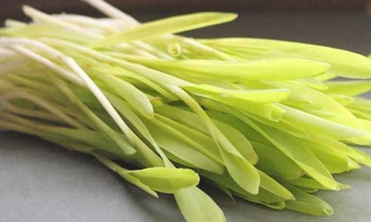 Popcorn Microgreens