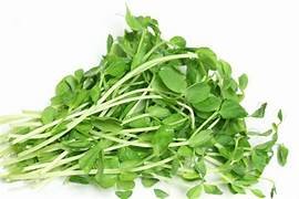 Pea Sprouts.jpeg