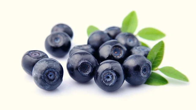 VILLE BLÅBÆR FRA RINGERIKE