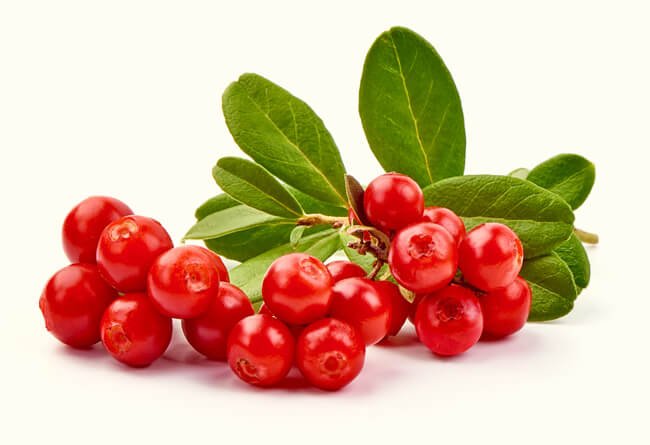 TYTTEBÆR FRA RINGERIKE