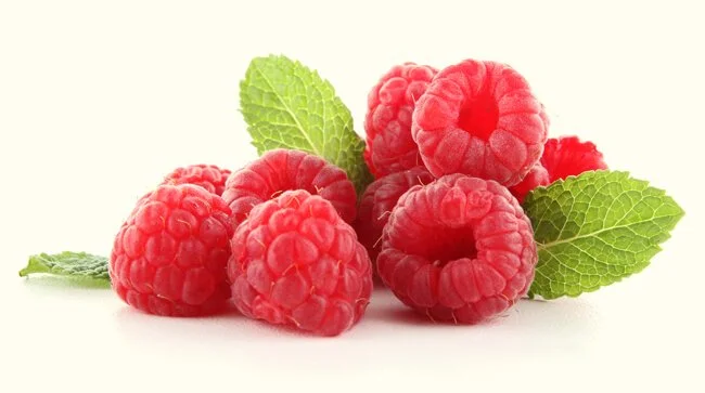 BRINGEBÆR FRA EDENHEIM