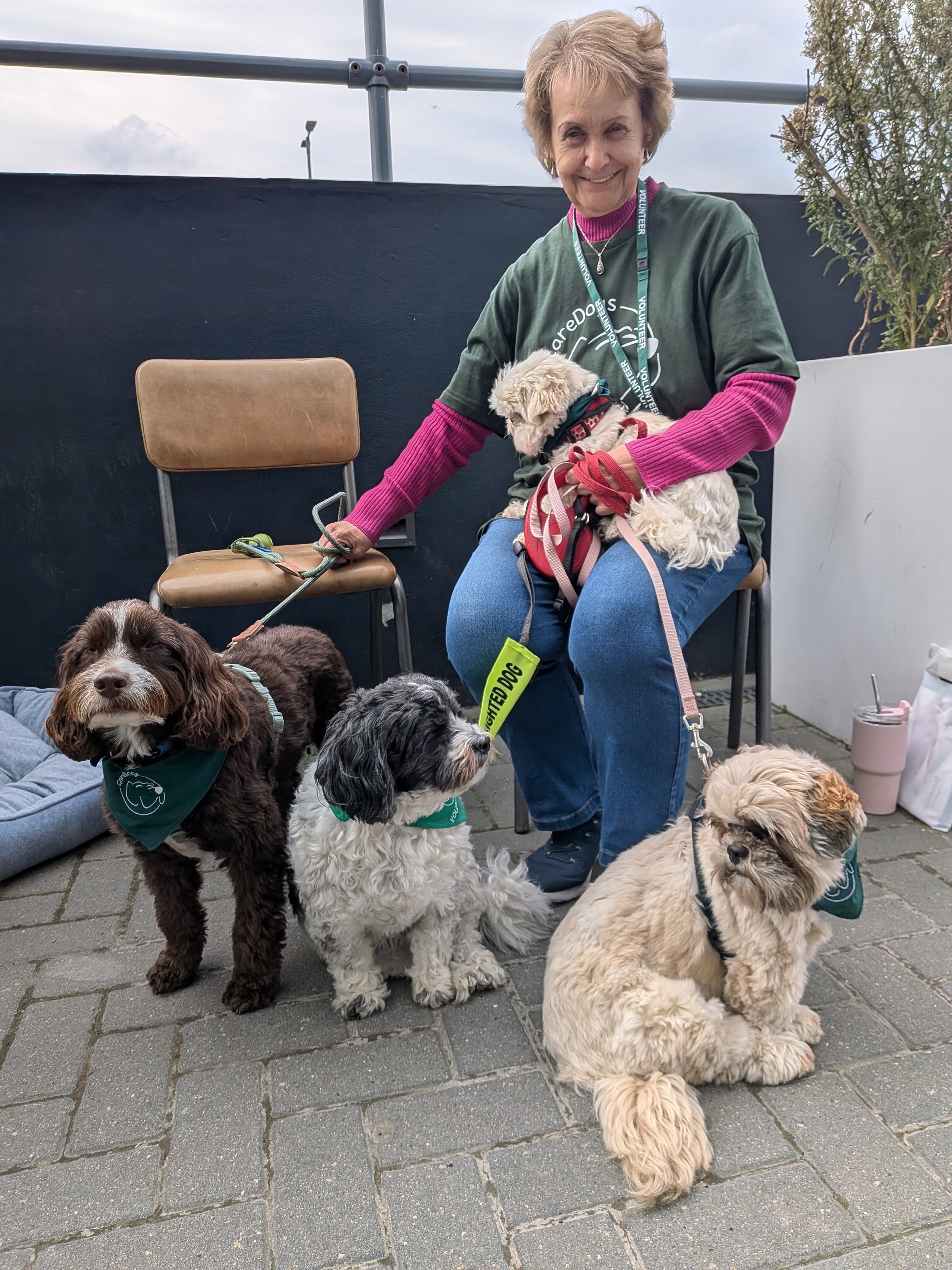 Sometimes the Best Medicine Has Four Legs