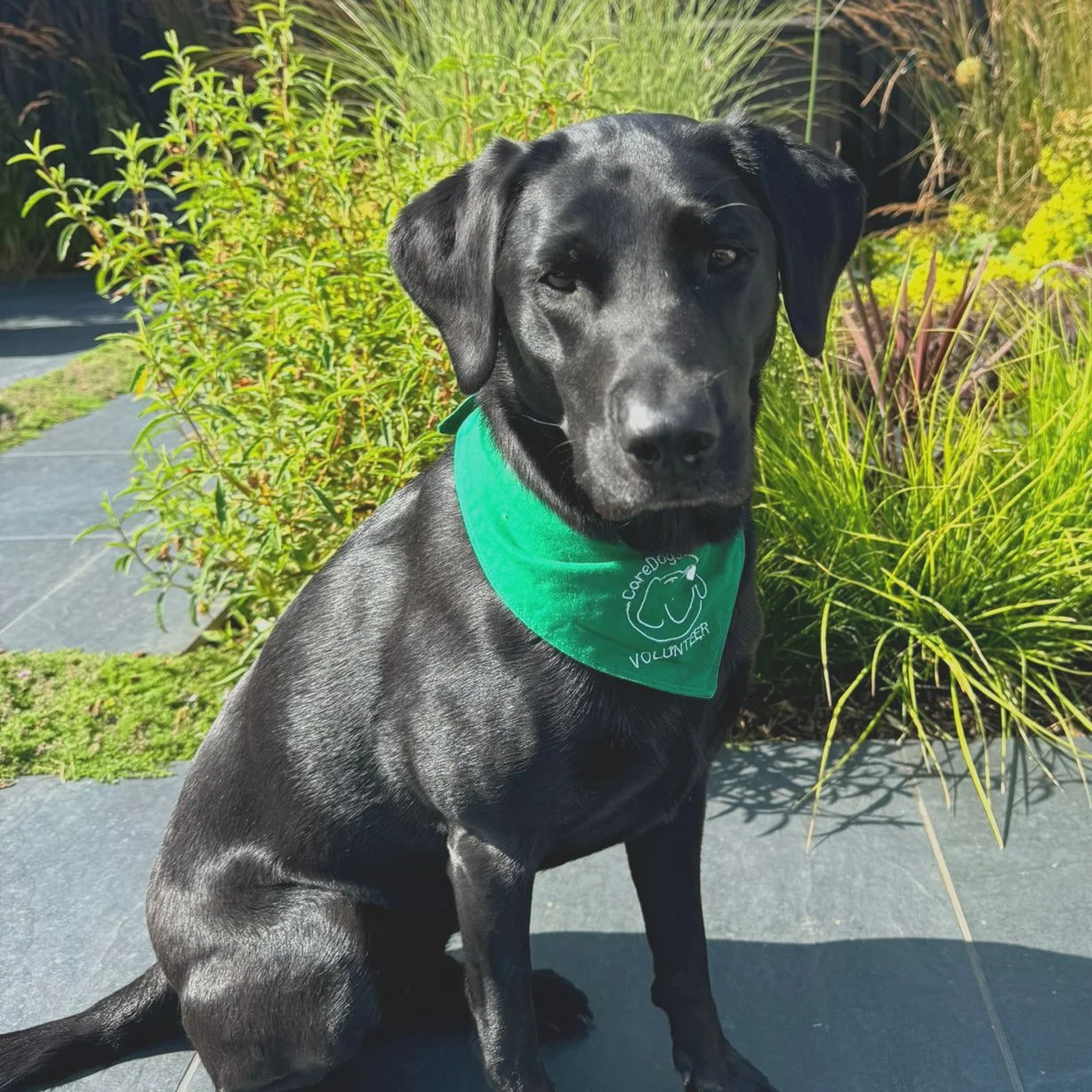 WhatsApp Image 2024-07-17 at 10.06.41.jpeg