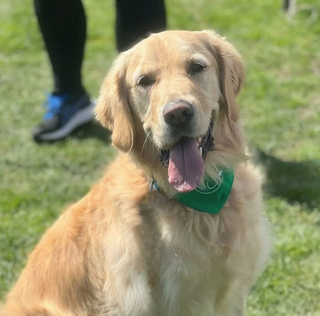 WhatsApp Image 2024-07-04 at 20.58.38.jpg