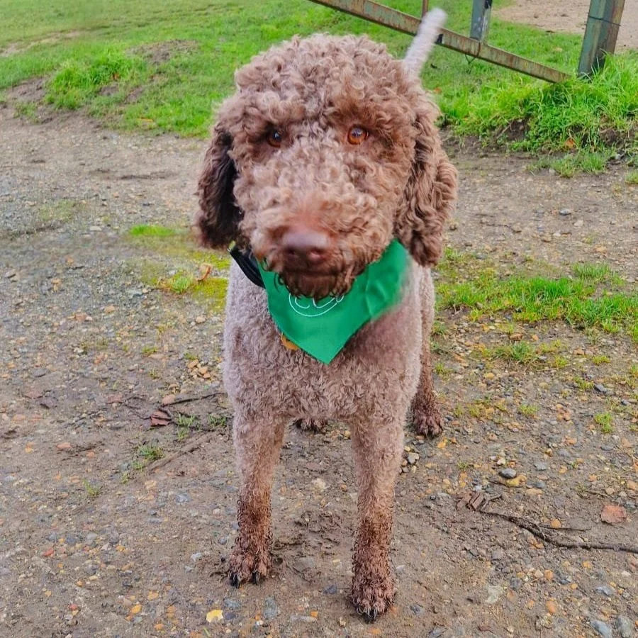 WhatsApp Image 2025-02-11 at 15.43.27.jpg