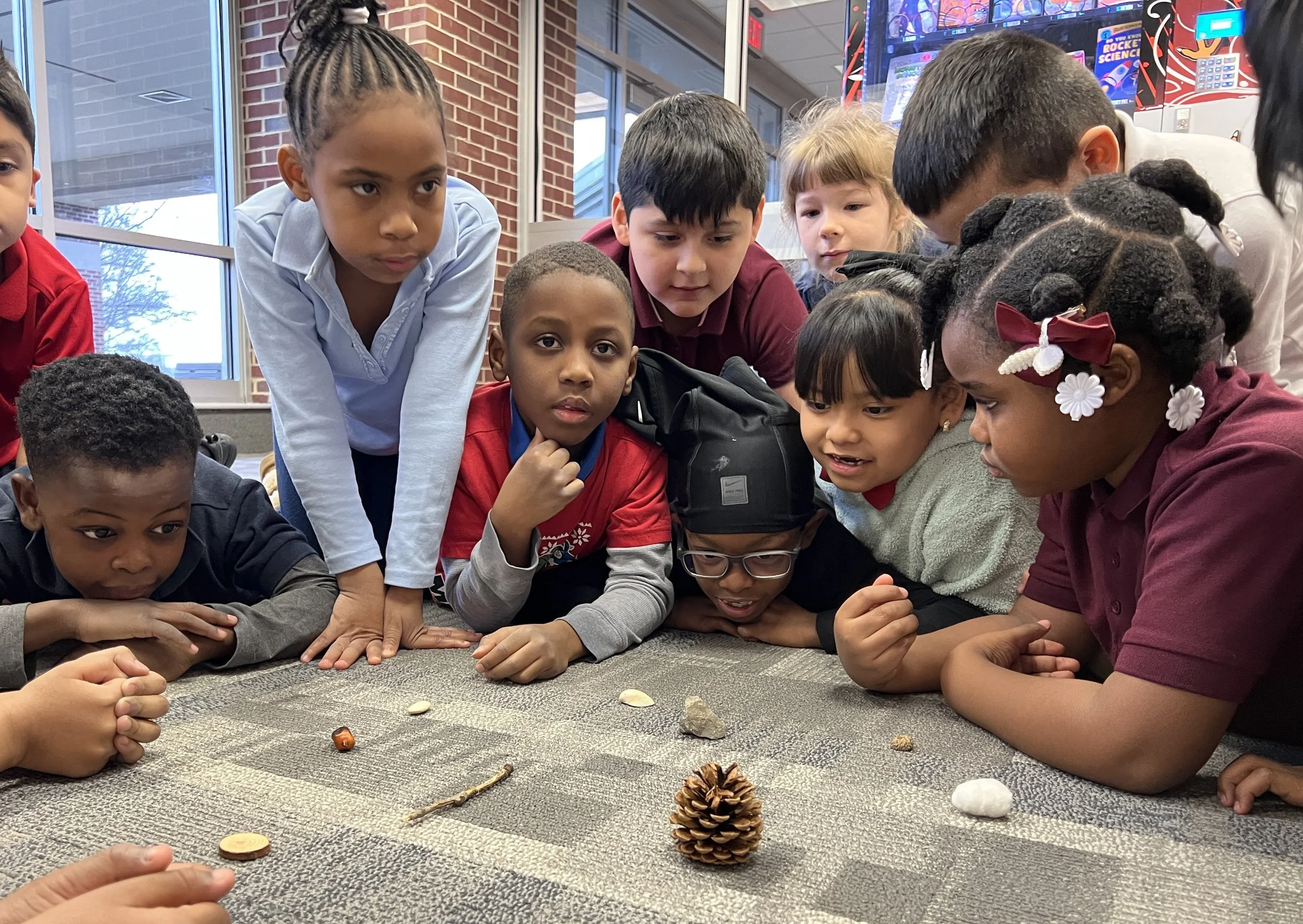 Children gathered around on the floor, looking at objects such as pinecones, shells, and stones, in a classroom or library setting.