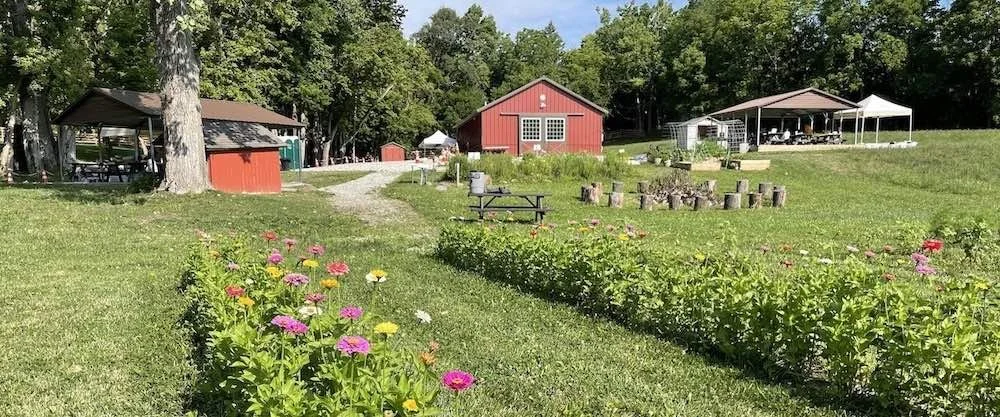 Moore Road Farm