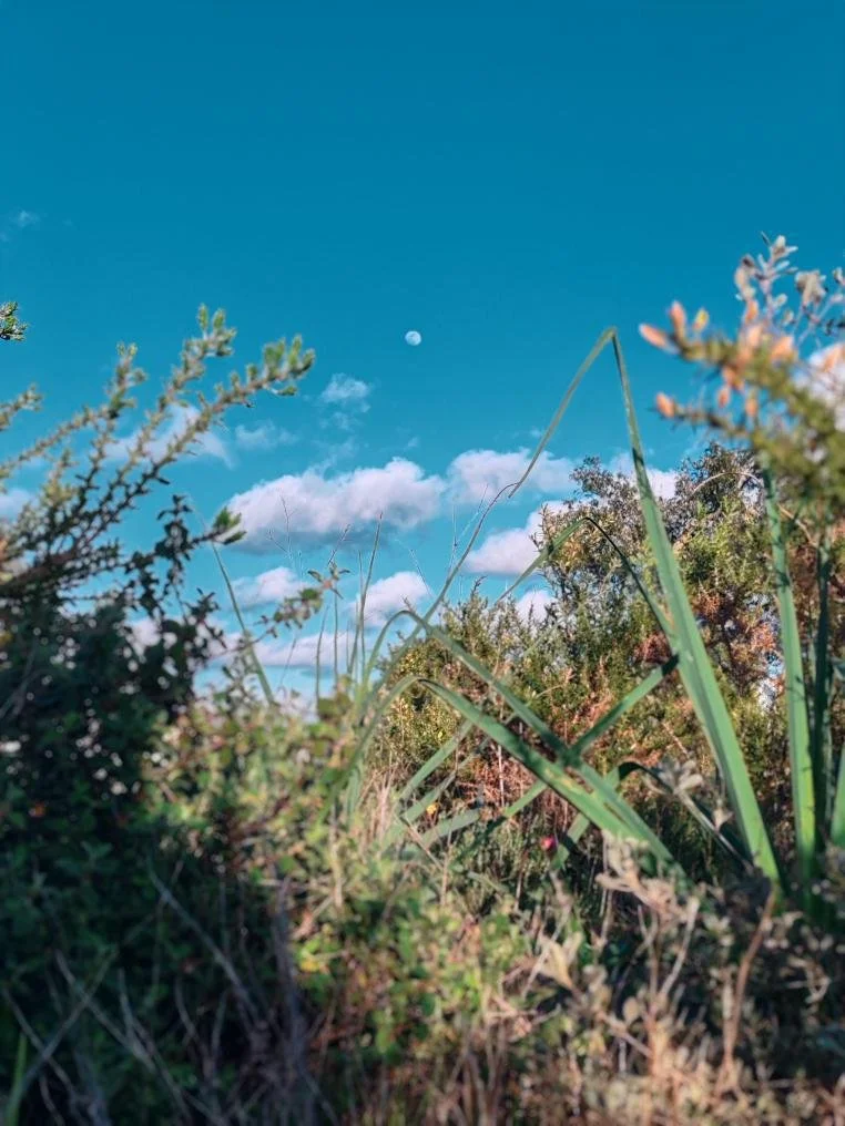 my uncharming &amp; profound question