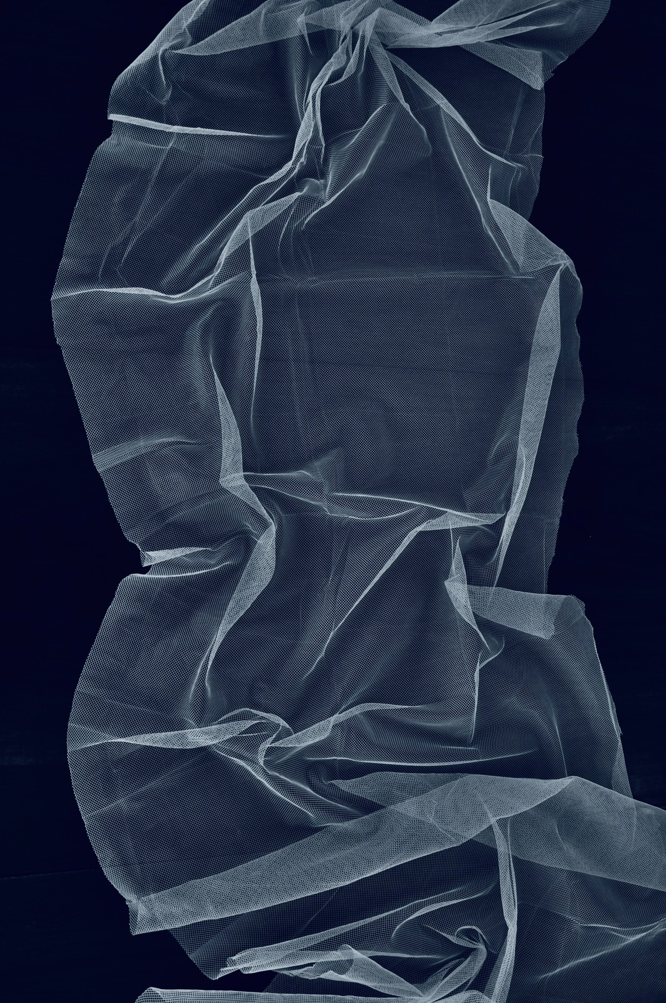 Netting series I.JPG