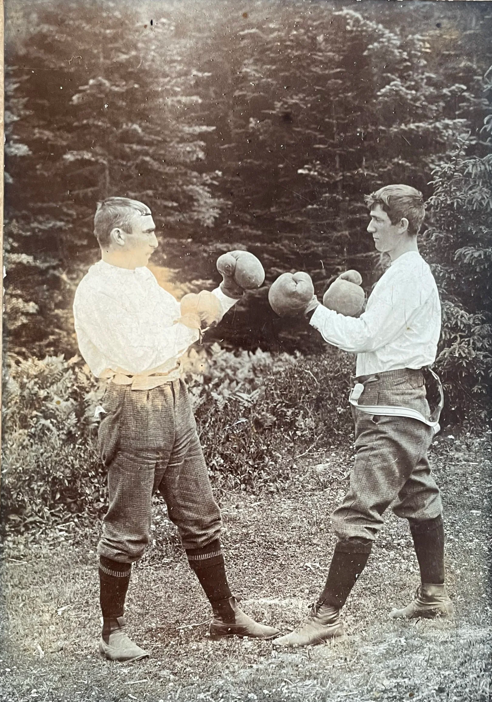 image_67216385.png