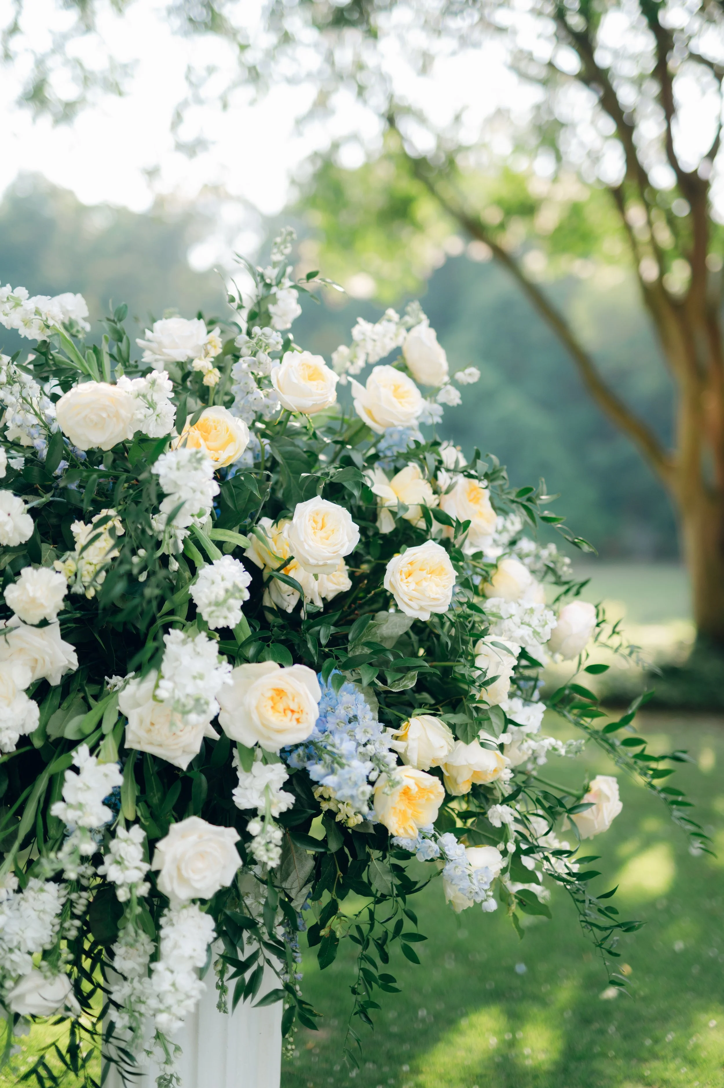 Hannah & Chad Sneak Peek-65.jpg