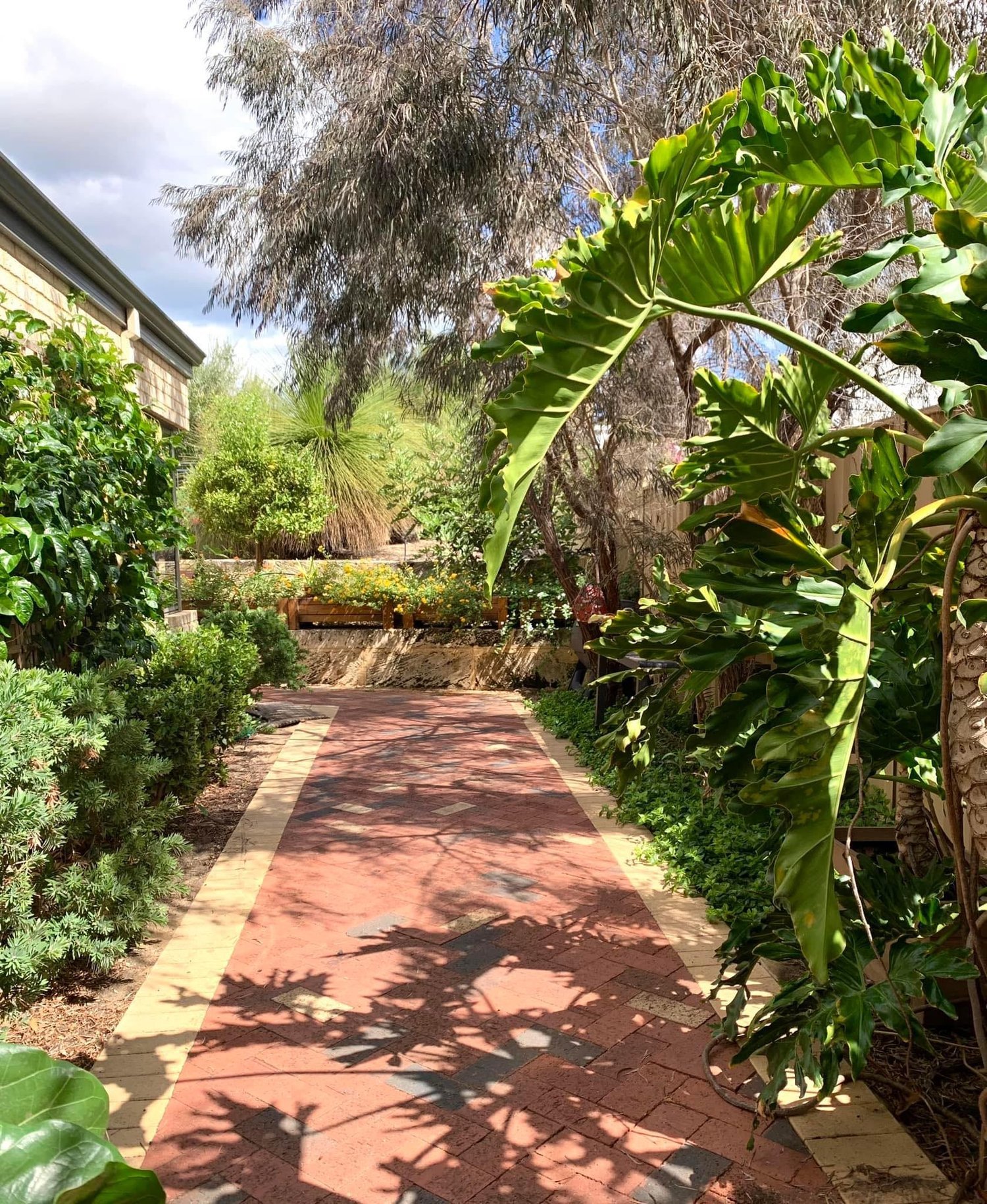 Wattlebird+entrance.jpeg
