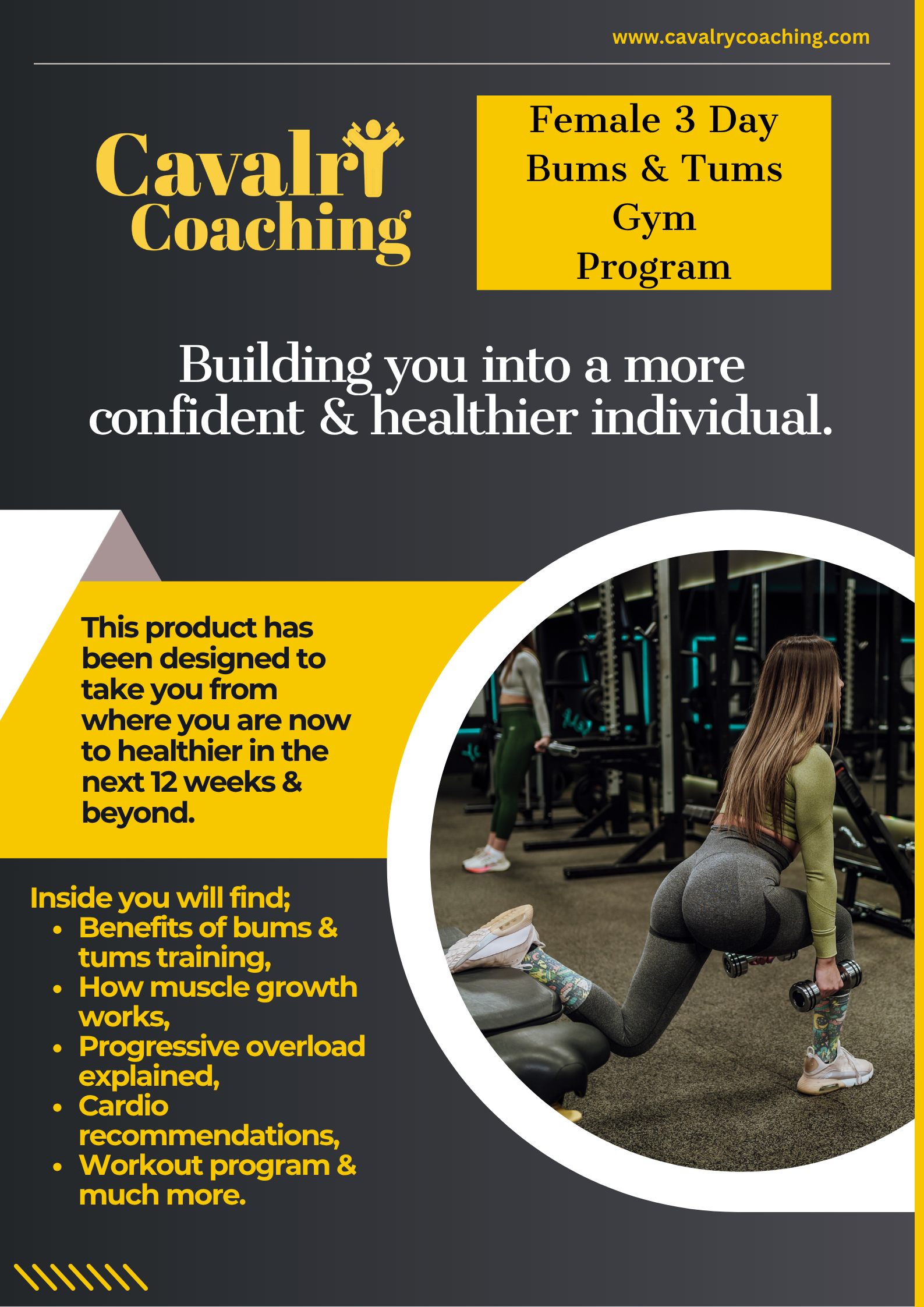 Female 3 Day Bums & Tums (Gym) Program
