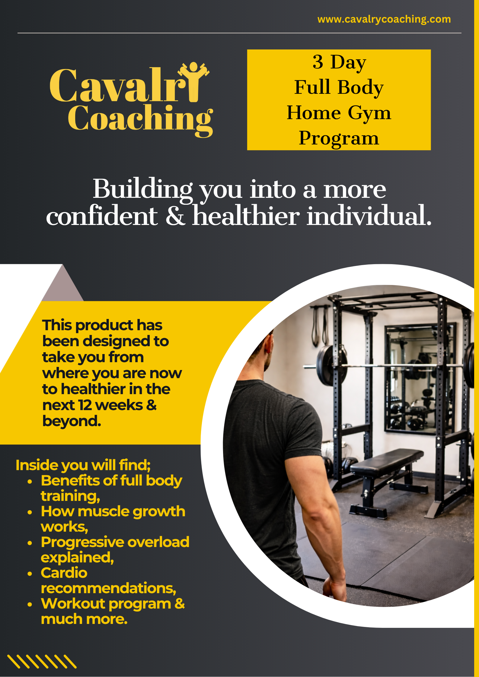 3 Day Full Body (Home Gym) Program
