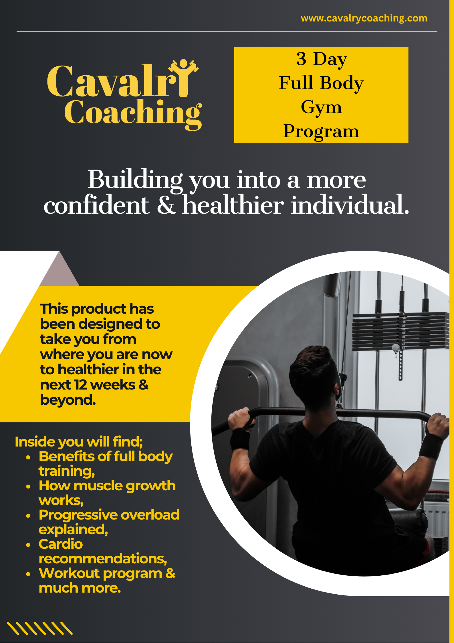 3 Day Full Body (Gym) Program