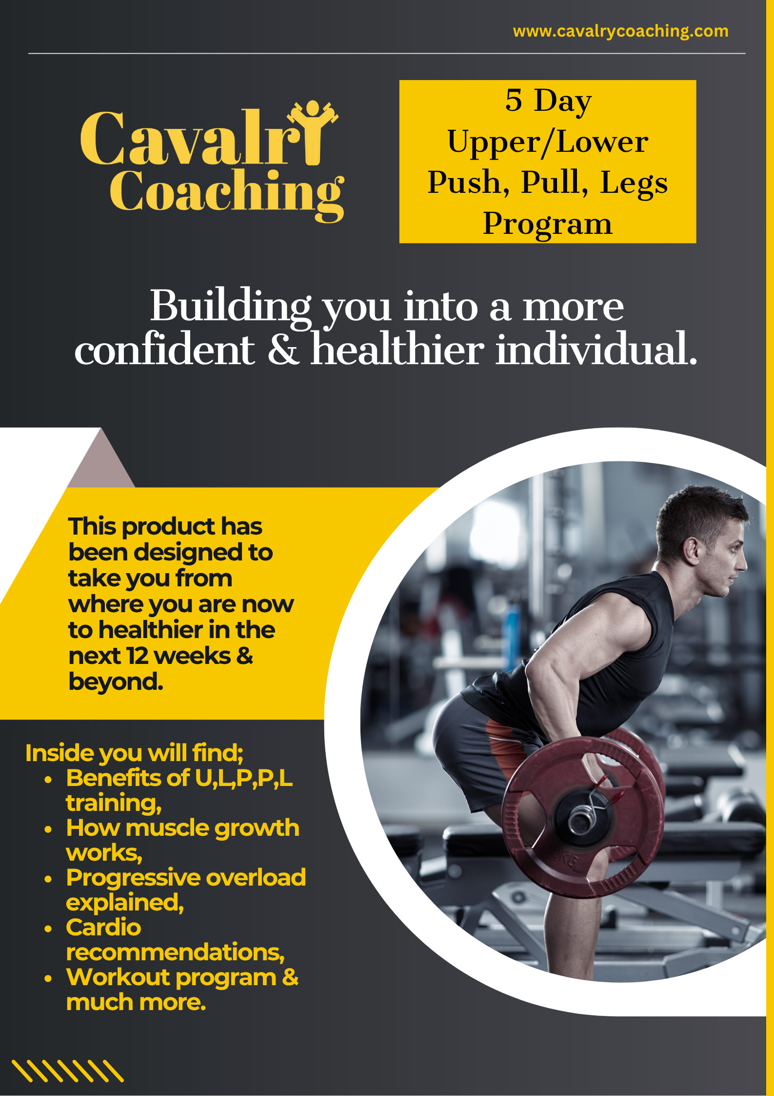 5 Day Upper/Lower, Push, Pull, Legs