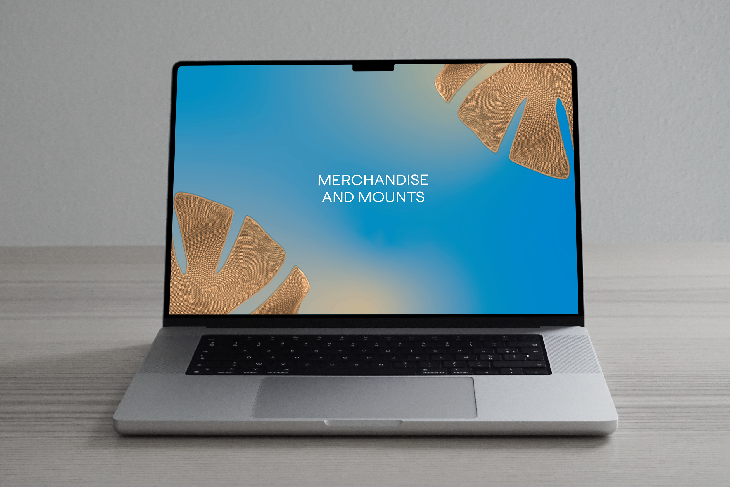 installation guide mockup 3.png
