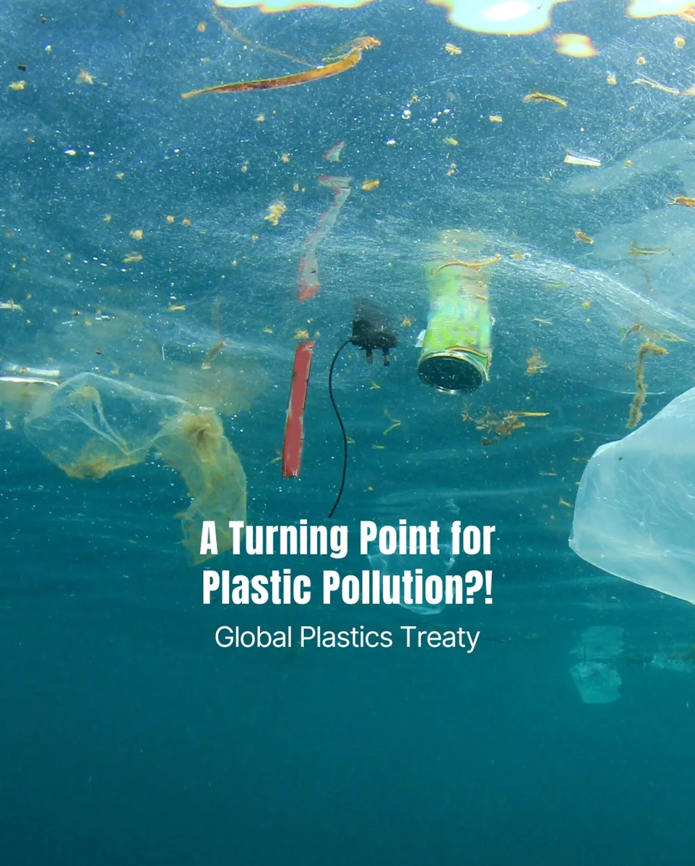 🌍 A Turning Point for Plastic Pollution?!

Right now, countries are meeting in Geneva to negotiate a legally binding Global Plastics Treaty - one that could finally tackle plastic pollution at its source.

For us at Sea Going Green, this goes far be