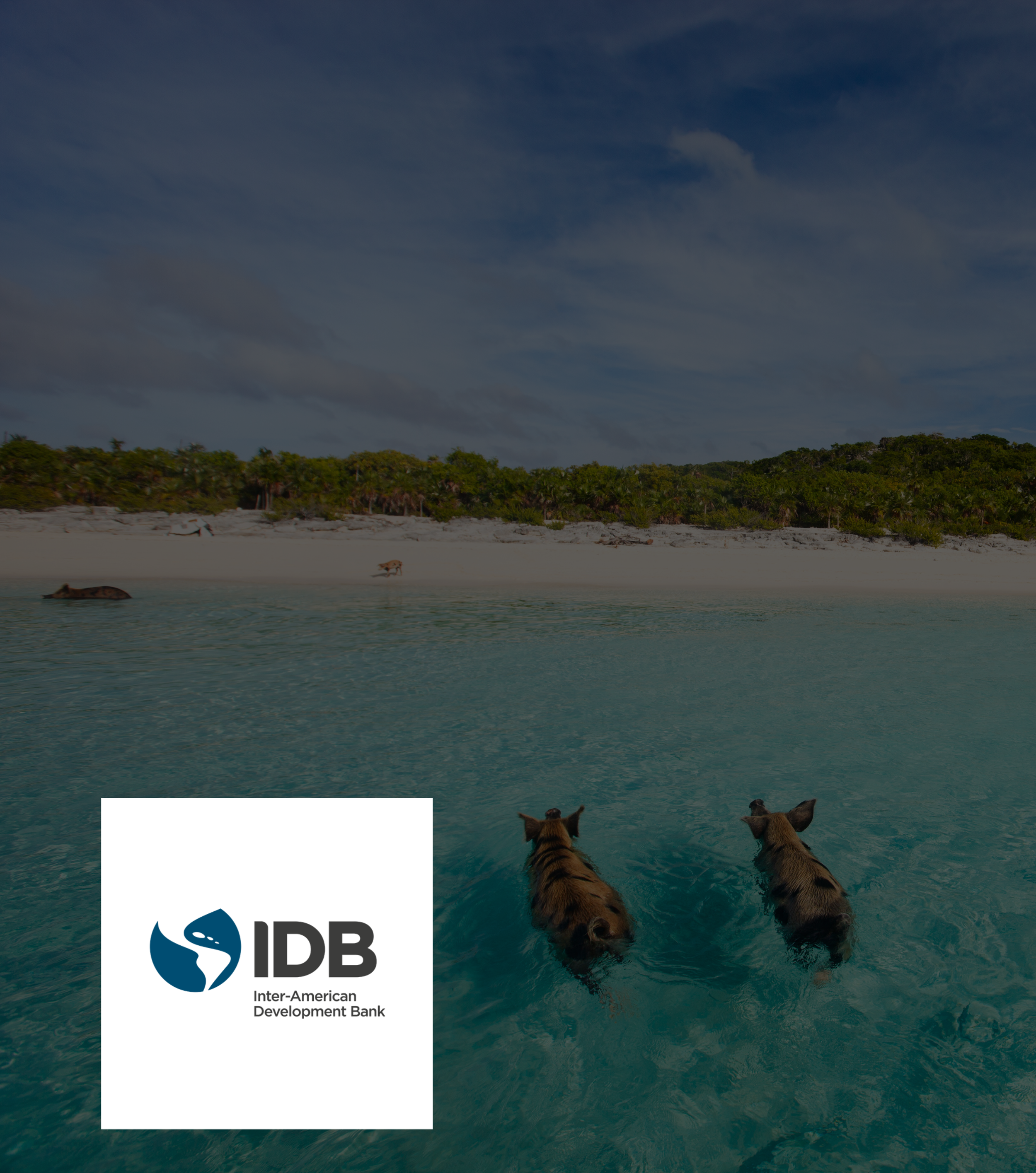 IDB (The Bahamas): 2021